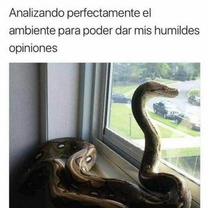 Meet your Posher, Marcela